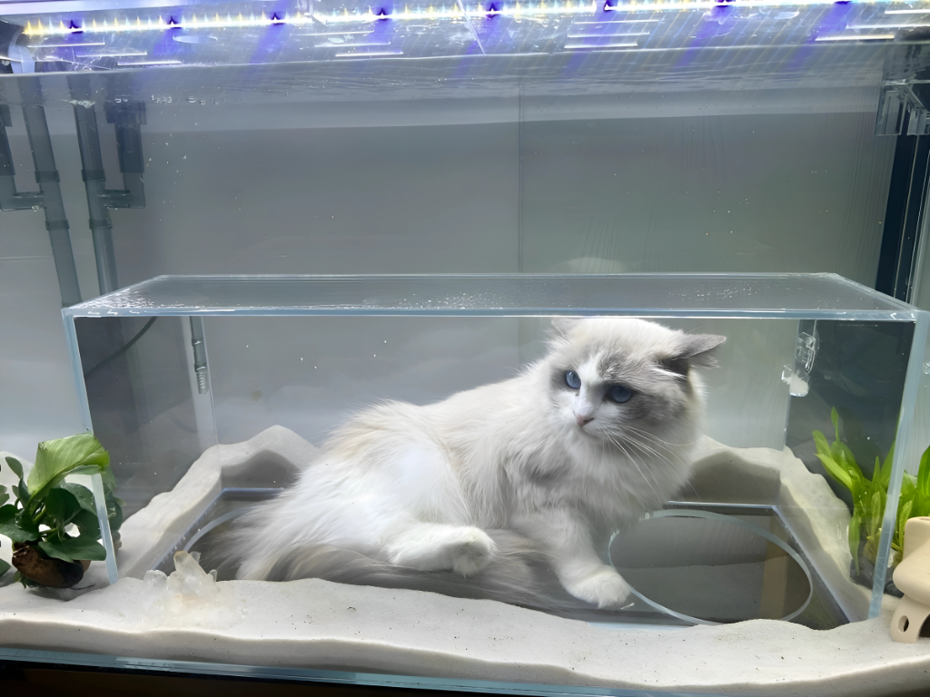 Bottom Entrance Cat Aquarium Product Image 2